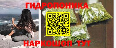 спиды Будённовск