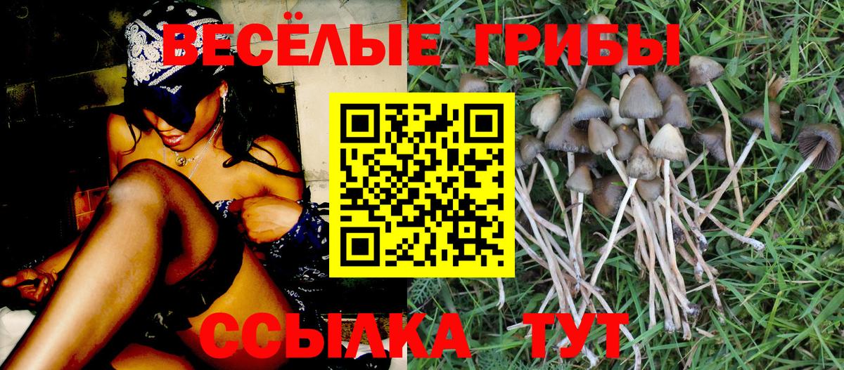 Шали  Галлюциногенные грибы Magic Shrooms  Вход с VPN 