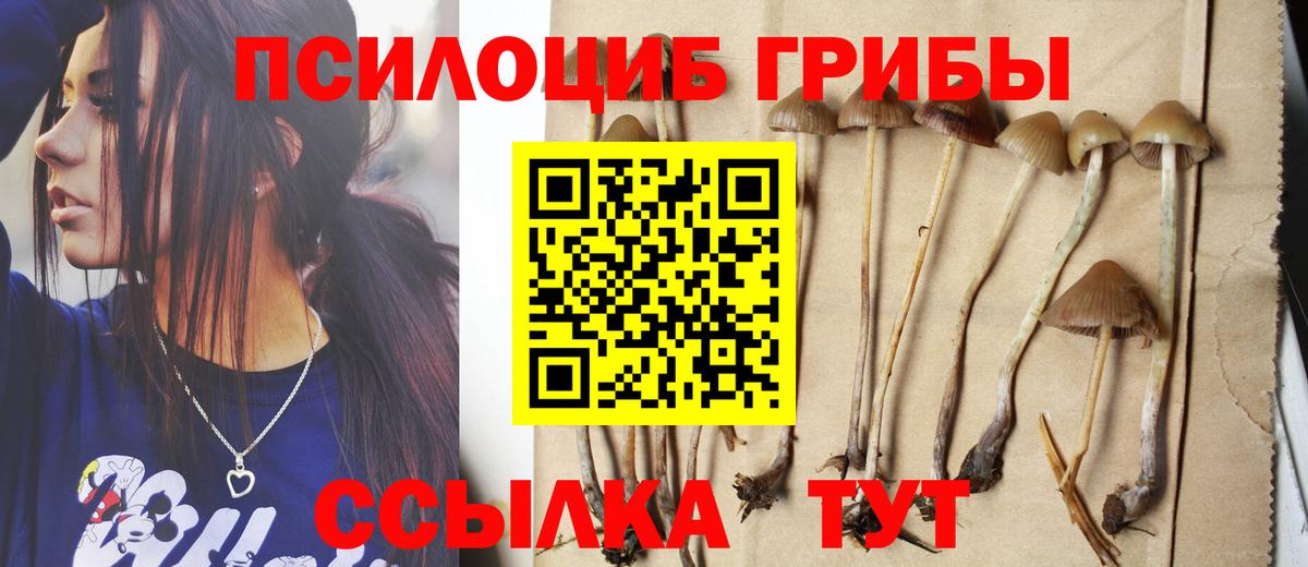 Псилоцибиновые грибы Psilocybe Шали